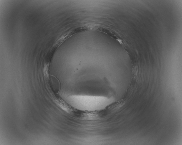 X0000080760286200701051244