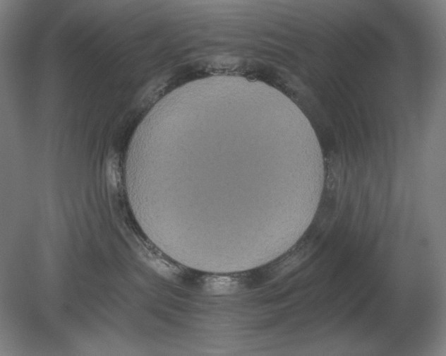 X0000080760287200701051244