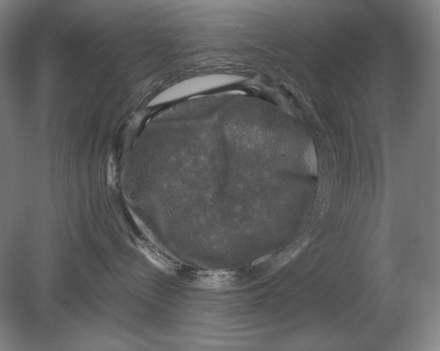 X0000080760288200701051244