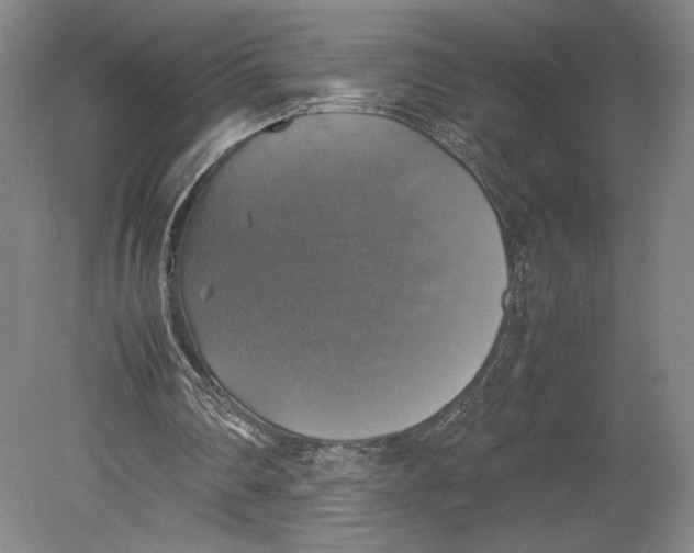 X0000080760290200701051243