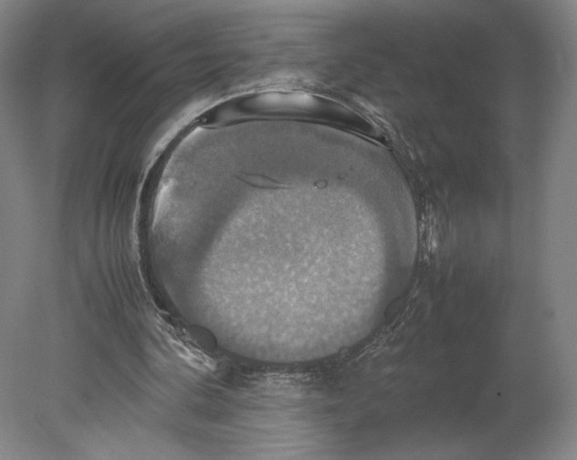 X0000080760292200701051243