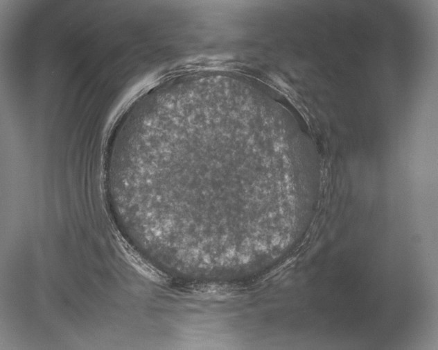X0000080760293200701051243
