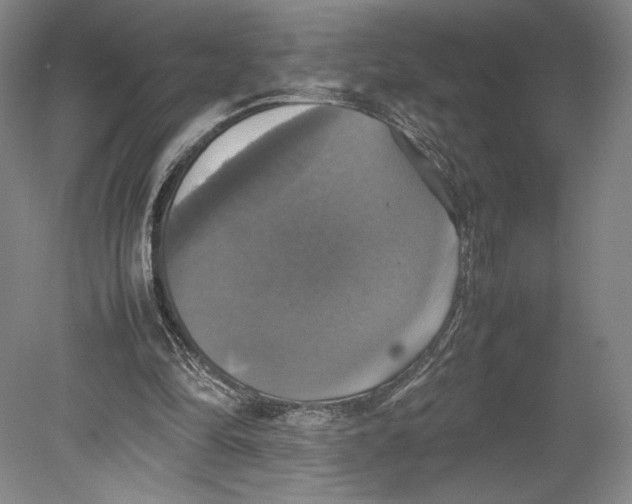 X0000080760294200701051243