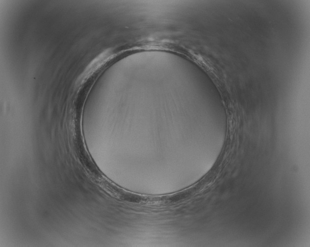 X0000080760295200701051243