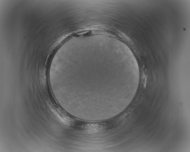 X0000080760298200701051243