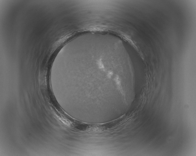 X0000080760299200701051243