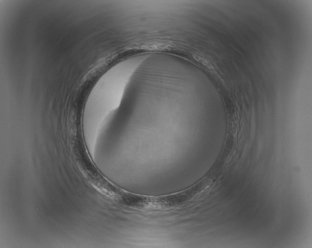 X0000080760303200701051243
