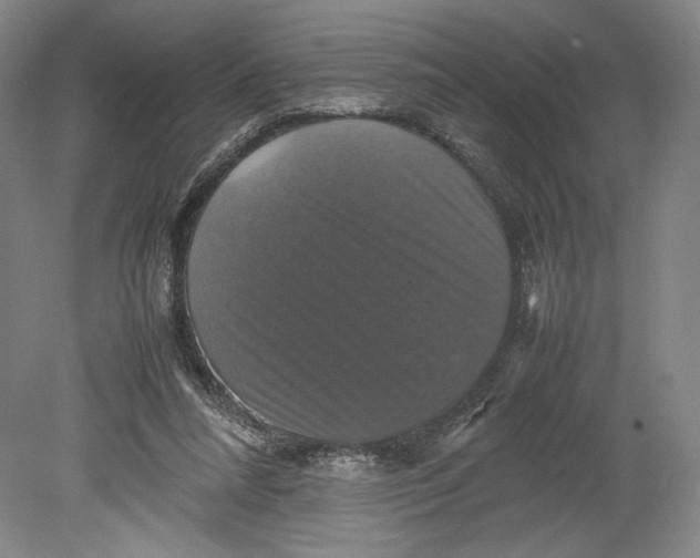 X0000080760304200701051243