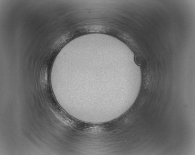 X0000080760310200701051243