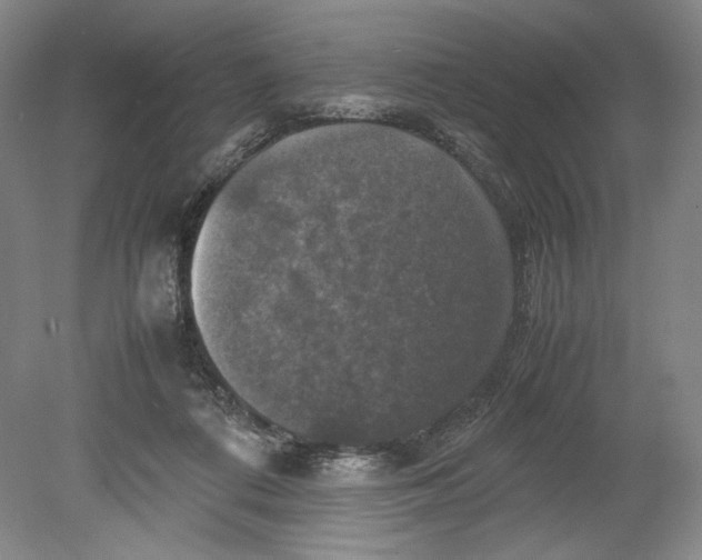 X0000080760312200701051243