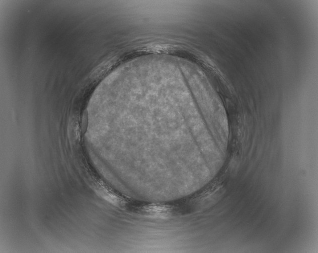 X0000080760313200701051243