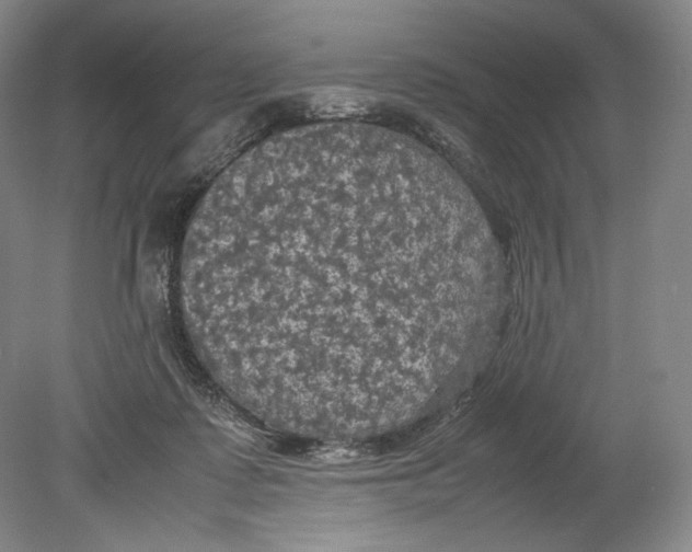 X0000080760315200701051243