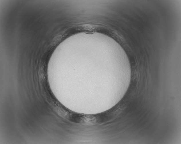 X0000080760317200701051243