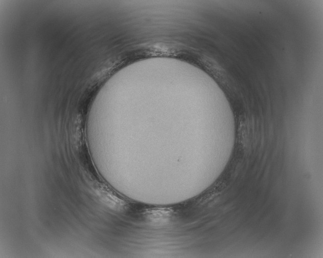 X0000080760318200701051243