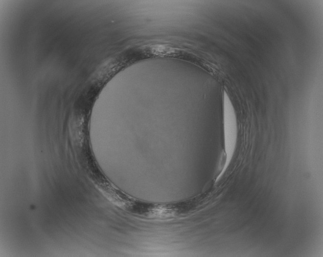 X0000080760319200701051243
