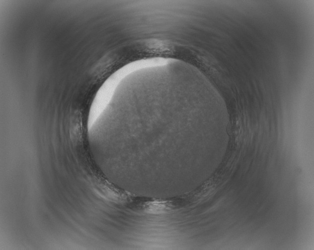 X0000080760320200701051243