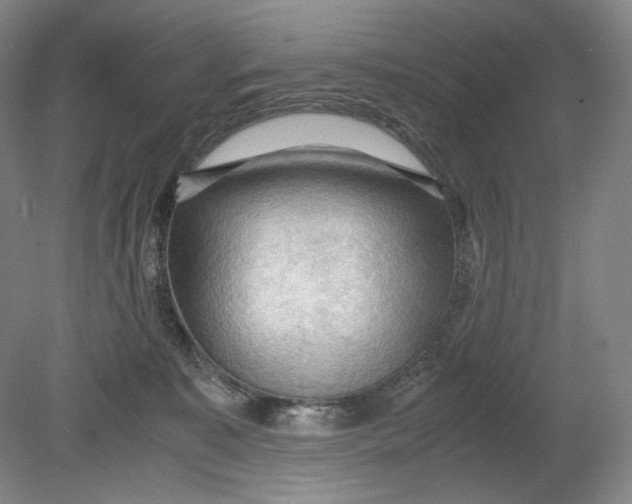 X0000080760323200701051243