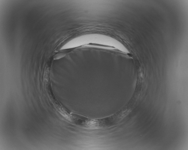 X0000080760325200701051242