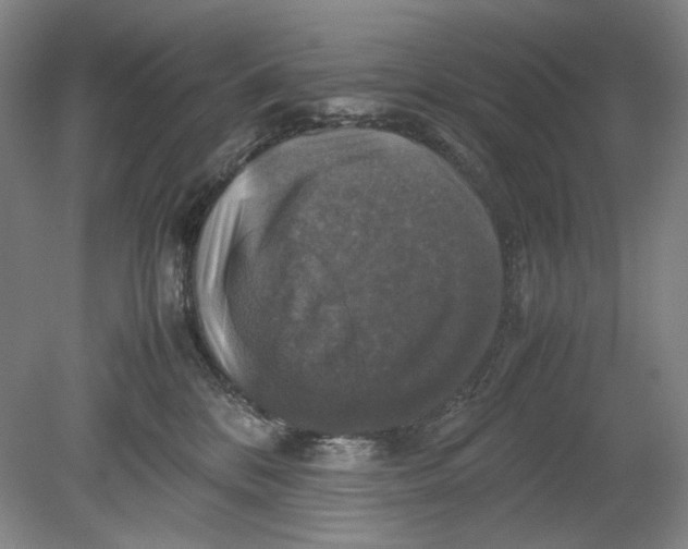X0000080760328200701051242