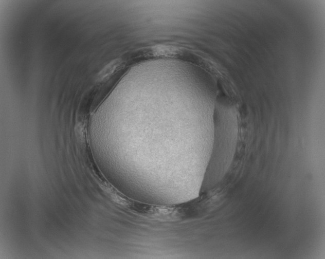 X0000080760329200701051242