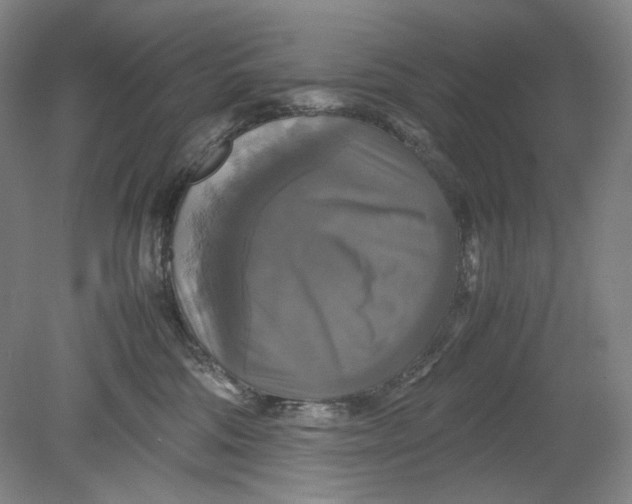 X0000080760330200701051242
