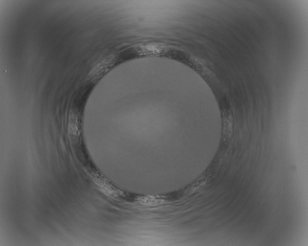 X0000080760331200701051242