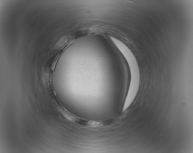 X0000080760333200701051242