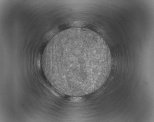 X0000080760334200701051242