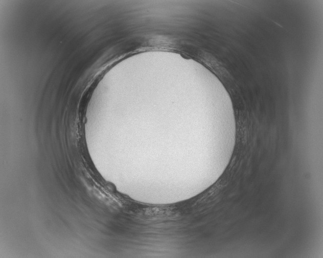 X0000080760338200701051242