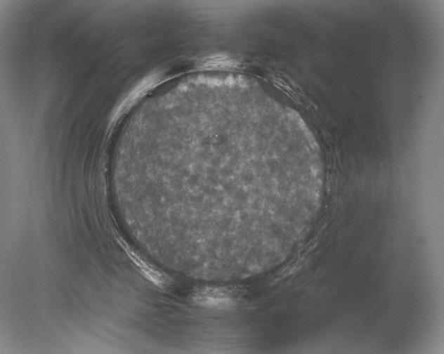 X0000080760341200701051242