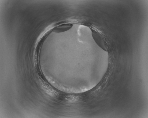 X0000080760343200701051242