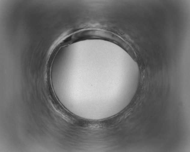 X0000080760344200701051242