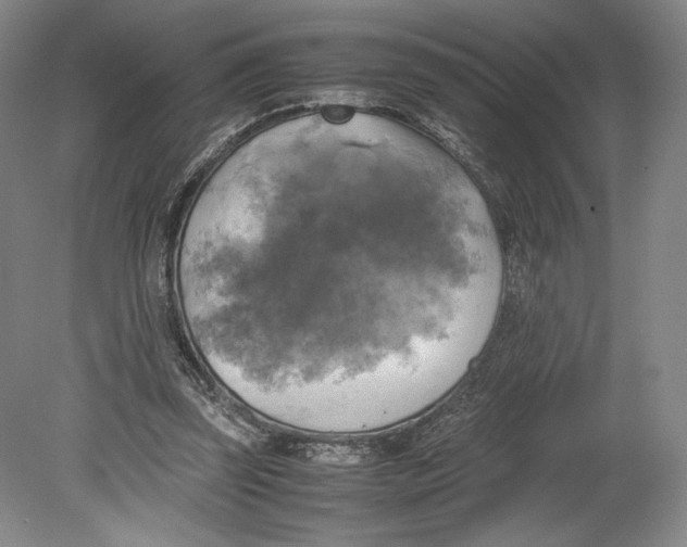 X0000080760347200701051242