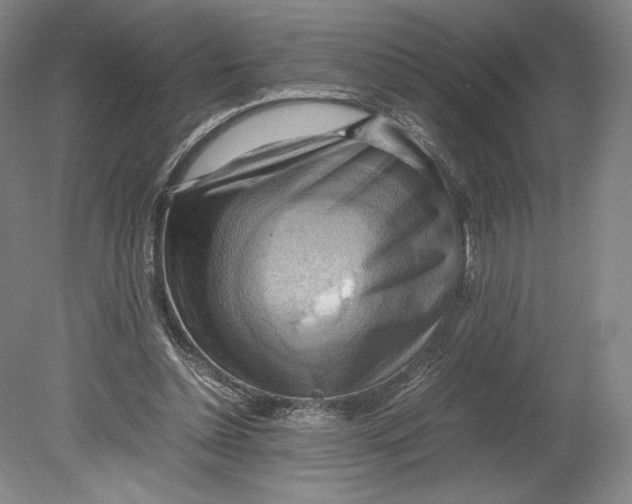 X0000080760348200701051242