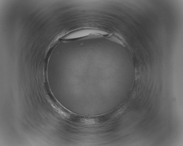X0000080760349200701051242