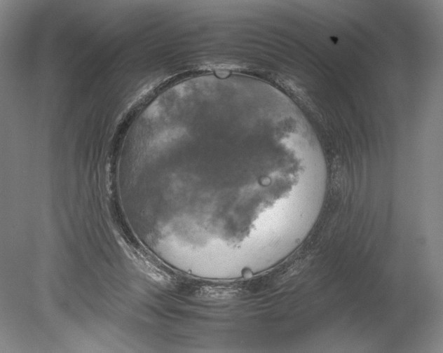 X0000080760351200701051242