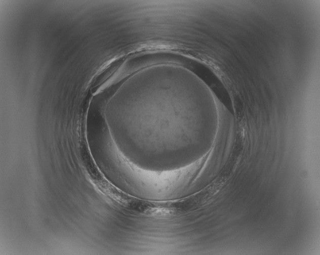 X0000080760352200701051242