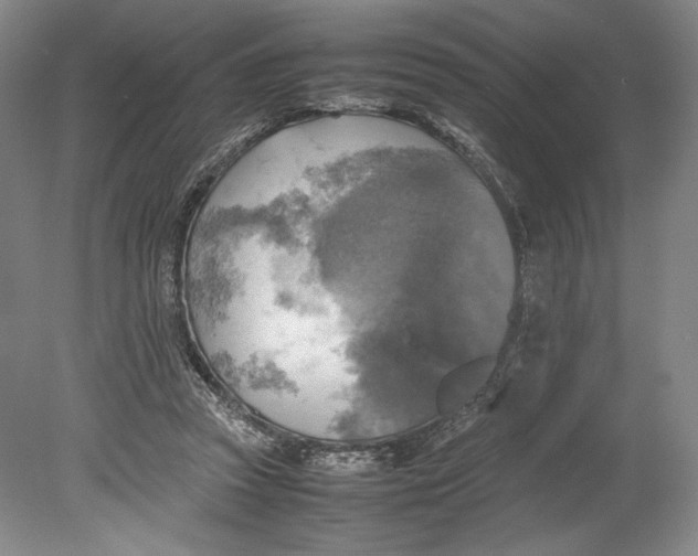 X0000080760353200701051242