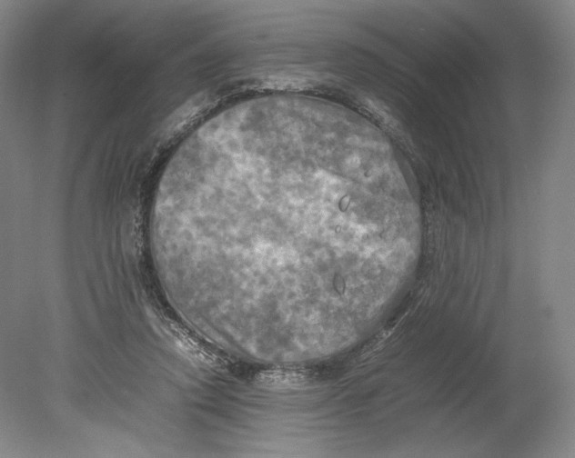 X0000080760354200701051242