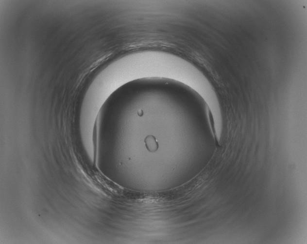 X0000080760356200701051242