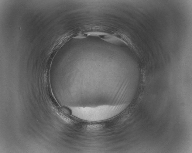 X0000080760357200701051242