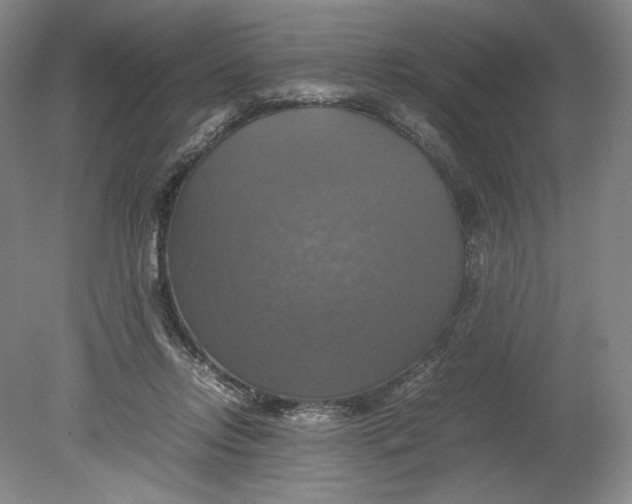 X0000080760358200701051242