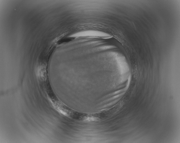 X0000080760360200701051242