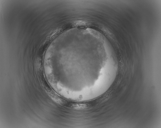 X0000080760361200701051242