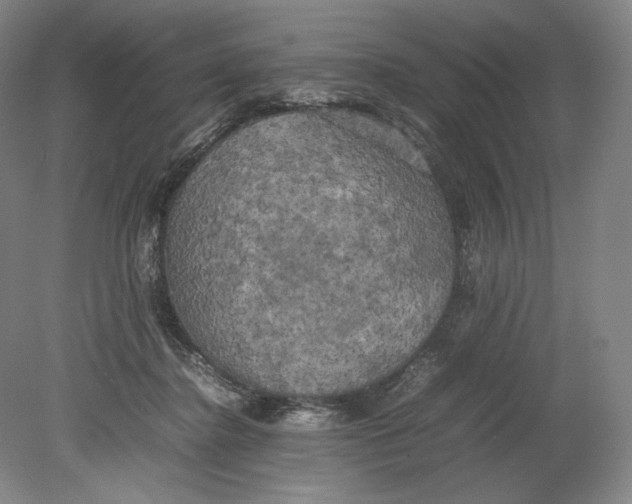 X0000080760364200701051242