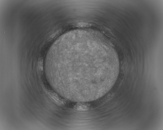 X0000080760368200701051242