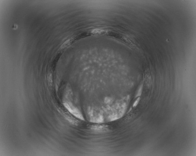 X0000080760375200701051242