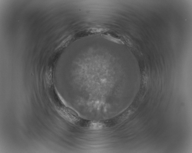 X0000080760376200701051242