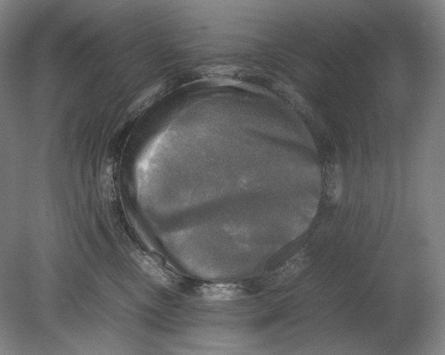 X0000080760378200701051242