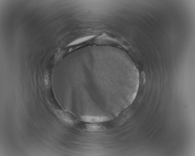 X0000080760380200701051242